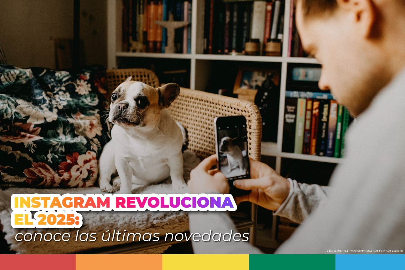 persona tomando foto a perro en Instagram